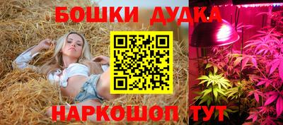 гидра Моздок