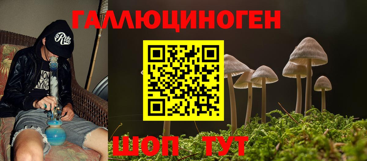 Псилоцибиновые грибы Psilocybine cubensis Чистополь